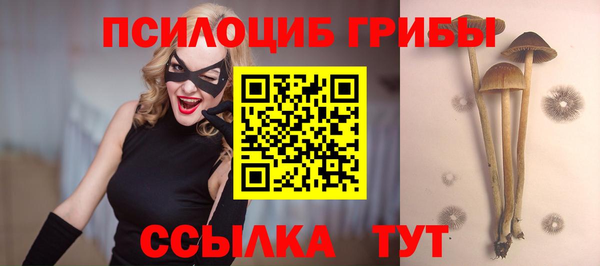 Галлюциногенные грибы GOLDEN TEACHER Лысьва