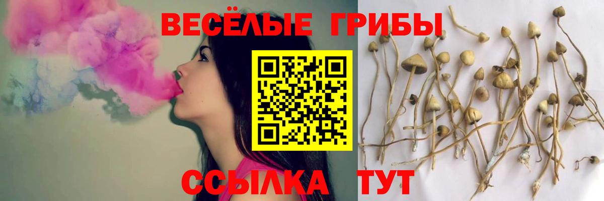 Псилоцибиновые грибы GOLDEN TEACHER  Галлюциногенные грибы Psilocybine cubensis  Вход с VPN  где найти наркотики  Лысьва 